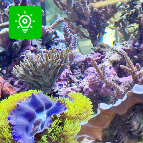 お役立ち情報画像