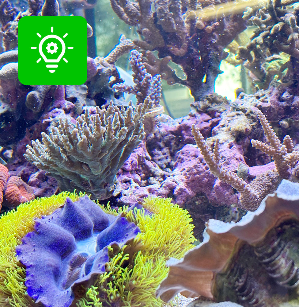 お役立ち情報画像