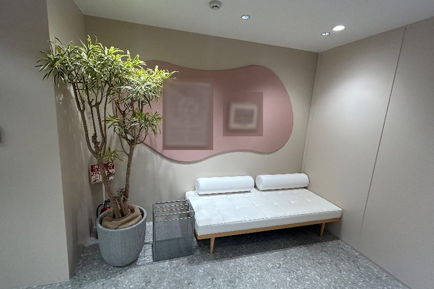 記事の画像